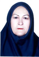 mahnaz mehrabizadeh Honarmand